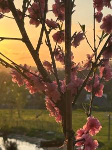 B&B / Chambres d'hotes Reve de Clarte : photos des chambres