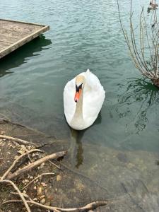 Rachels Luxury Tattershall Hot Tub & Fishing Retreat