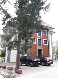 Alexandro Apartmani Zlatibor