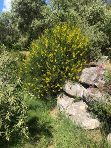 B&B / Chambres d'hotes Le Logis : photos des chambres