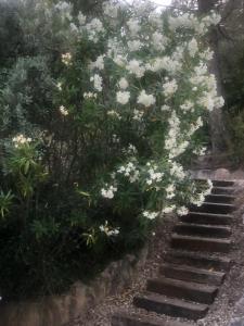 B&B / Chambres d'hotes Le Logis : photos des chambres