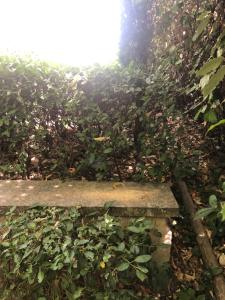 B&B / Chambres d'hotes Le Logis : photos des chambres