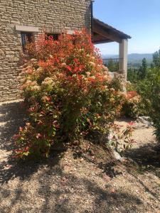 B&B / Chambres d'hotes Le Logis : photos des chambres