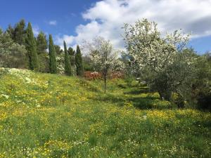 B&B / Chambres d'hotes Le Logis : photos des chambres