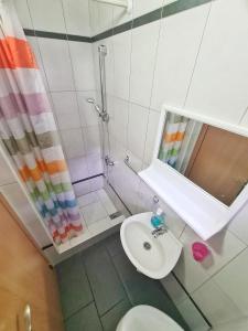 Vila Aleksandra 1 Sokobanja