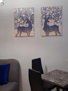 Apartament Chełmża