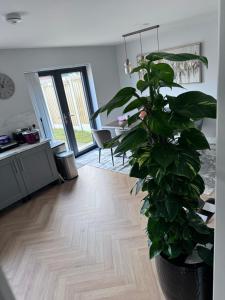 Double bedroom with private bathroom close to city center