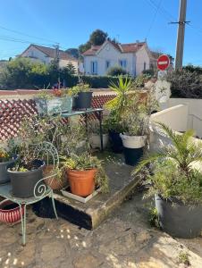 À 1 voie piétonne de la plage, du centre et du port pour 1 à 4 personnes