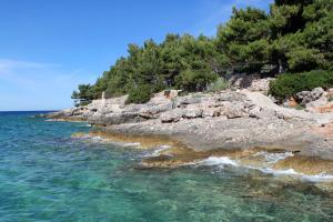 Apartments by the sea Zavala, Hvar - 8774