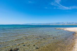 Apartments with parking space Vir - 24319