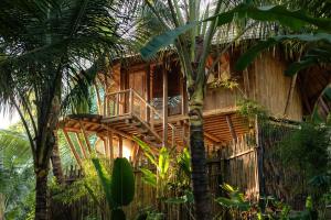 Maya Eco Retreat Bamboo Hotel