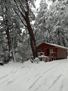Cabañas Termas de Chillán