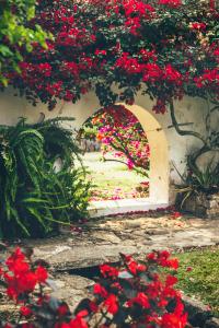Hotel Hacienda Baza