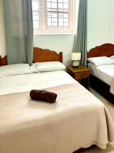 Rose Apartments Barbados