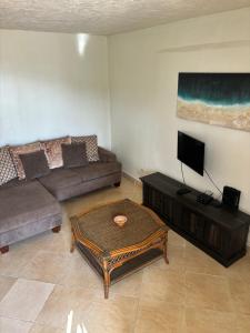 Rose Apartments Barbados