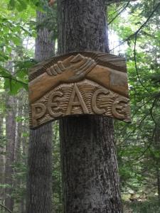 Modern Cottage with Peeks of Ocean Views
