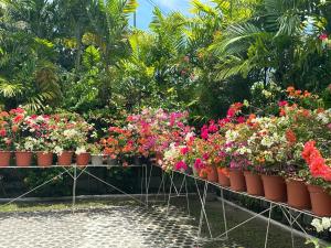 Veance Travellers Inn-Pabuas extension