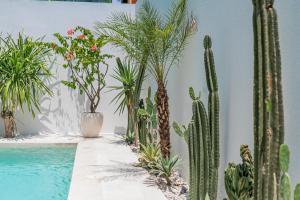 Maria Johanna 1 - 3BR Villa in Pererenan