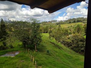 Casa en el Arbol - Cerca Metrocable ARVI - Camping