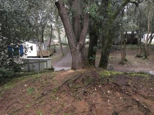 Campings Mobilhome familial 6 a 7 p 3 chambres 42 m2 Saint Brevin Les Pierres Couchees : photos des chambres