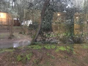 Campings Mobilhome familial 6 a 7 p 3 chambres 42 m2 Saint Brevin Les Pierres Couchees : photos des chambres