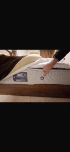 Deluxe Direct Nile Apartment