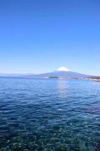Numazu Sparkle