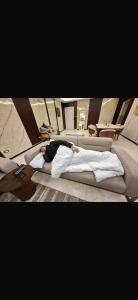 Deluxe Direct Nile Apartment