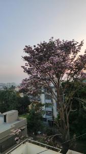 Aurum homestay- Near DLF Newtown