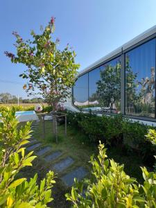 Nx Space พลูวิลล่า