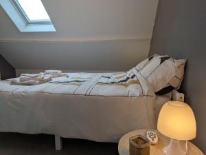 Maisons de vacances Maison familiale au bord de la Loire a Sigloy pour 6 personnes - FR-1-590-572 : photos des chambres