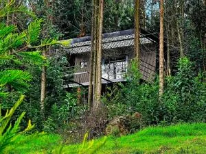 Cabaña en Tabio - Subachoque