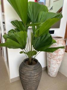 Kedungu Palm 1 - 3BR Villa in Kedungu