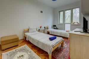 Steady - Guests Rooms