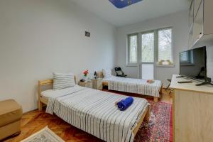 Steady - Guests Rooms