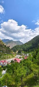 The Cozy Monks - Tirthan Valley