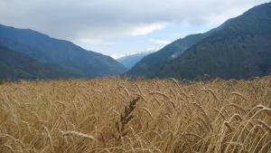 Divine Mountain Homestay