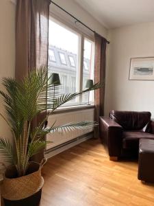 Stor lägenhet i centrala Karlshamn!