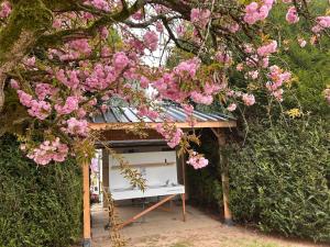Glamping Les Arpents Verts