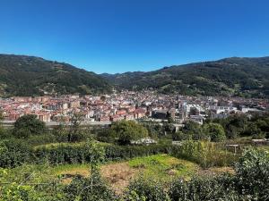 Precioso piso en Mieres con Jardín