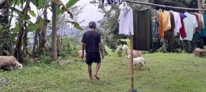 Moto driver tour Borobudur , Rice terace, sacred waterfall