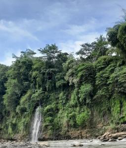 Moto driver tour Borobudur , Rice terace, sacred waterfall
