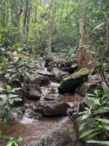 Vinthara Retreat