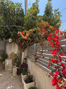 Apartments & Studios ARDIAN-MANDI SARANDË-ALBANIA