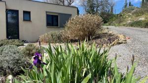 Maisons de vacances Villa Les Galets : photos des chambres