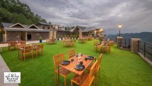 Royal Apartments Kasauli I Restaurant I Lift I Roof top Cafe I Self cooking also available I Bonfire I Best View