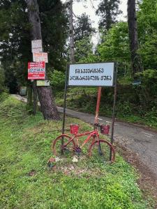 Старый дом!