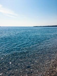 Casa Etna Sea immersa nel verde a 5 min a piedi dal mare tra Etna & Taormina