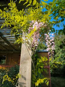 Chalets Le nid des crinieres vagabondes : photos des chambres