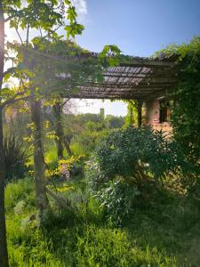 Chalets Le nid des crinieres vagabondes : photos des chambres